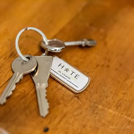 شقة Les Salines - - Gare Des Sables لي سابلِ دولونْ